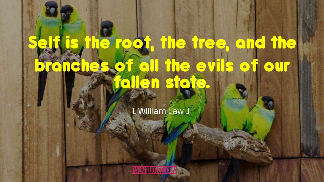 William Law Quotes: Self is the root, the