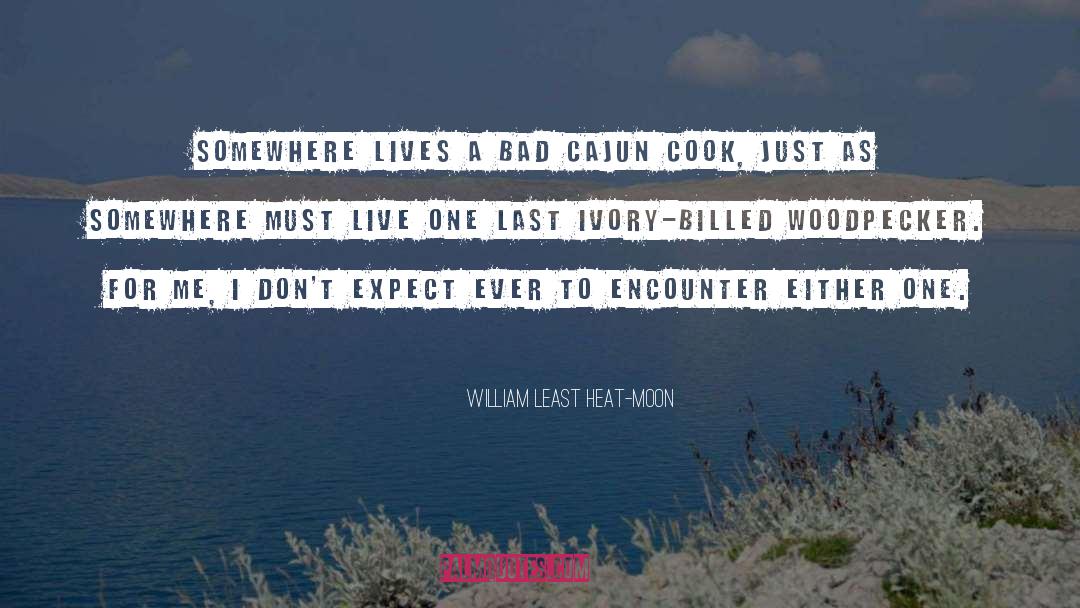 William Least Heat-Moon Quotes: Somewhere lives a bad Cajun