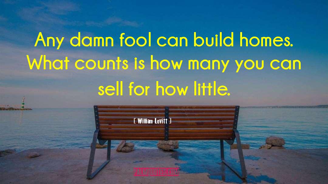 William Levitt Quotes: Any damn fool can build