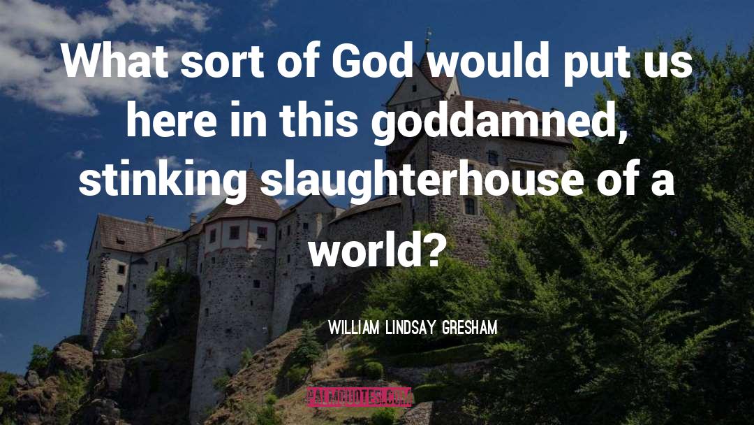 William Lindsay Gresham Quotes: What sort of God would
