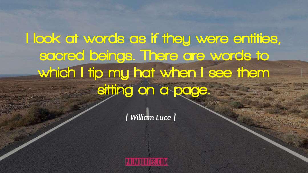 William Luce Quotes: I look at words as