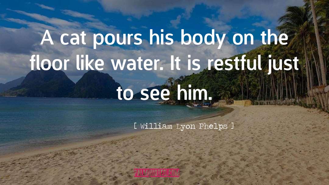 William Lyon Phelps Quotes: A cat pours his body
