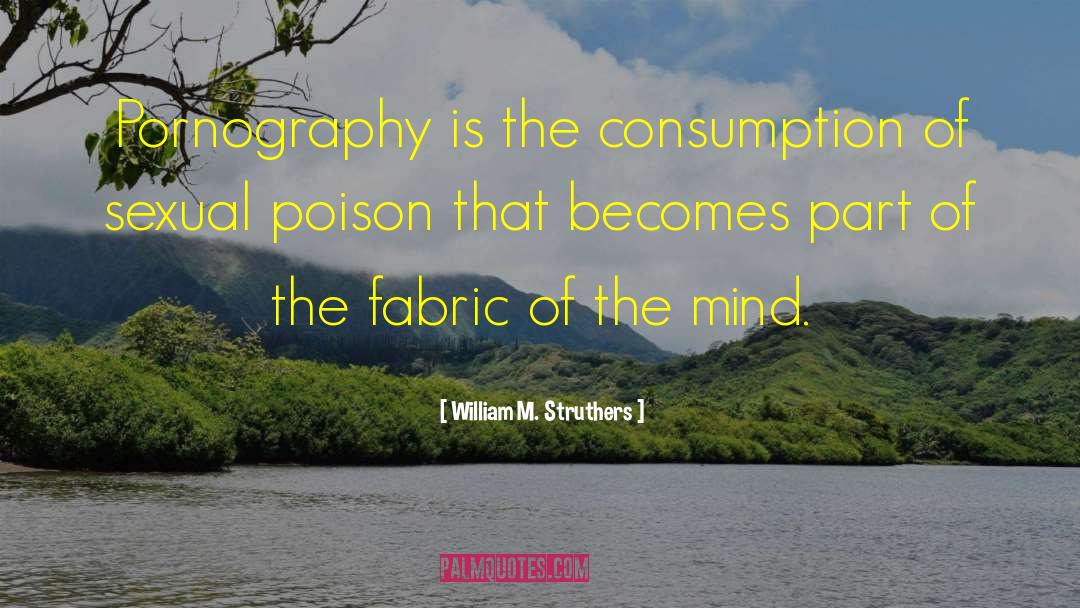 William M. Struthers Quotes: Pornography is the consumption of