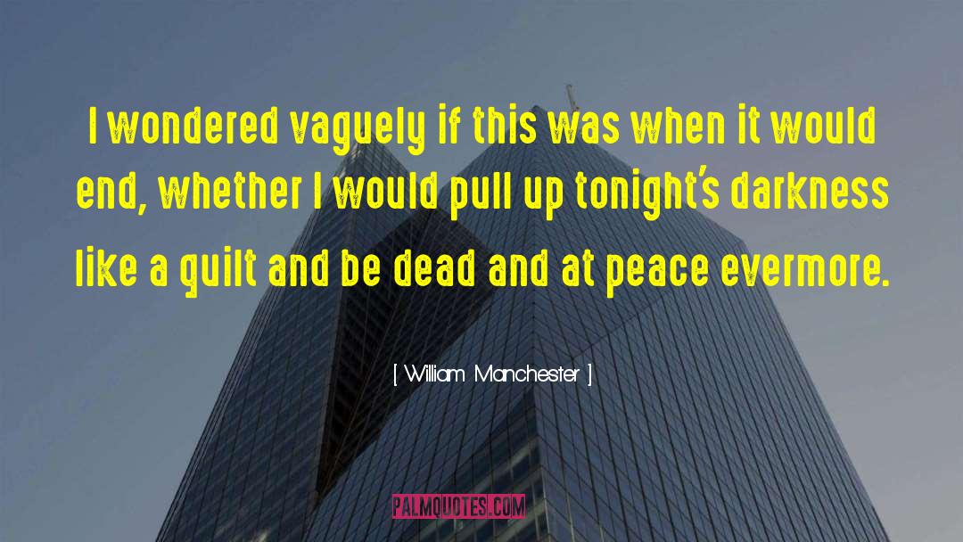 William Manchester Quotes: I wondered vaguely if this