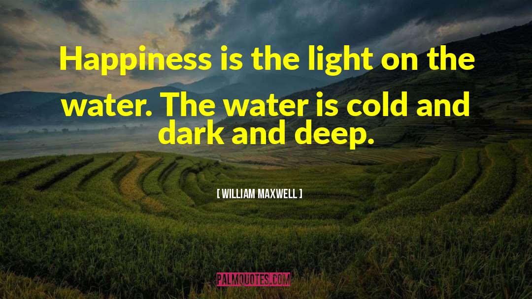 William Maxwell Quotes: Happiness is the light on