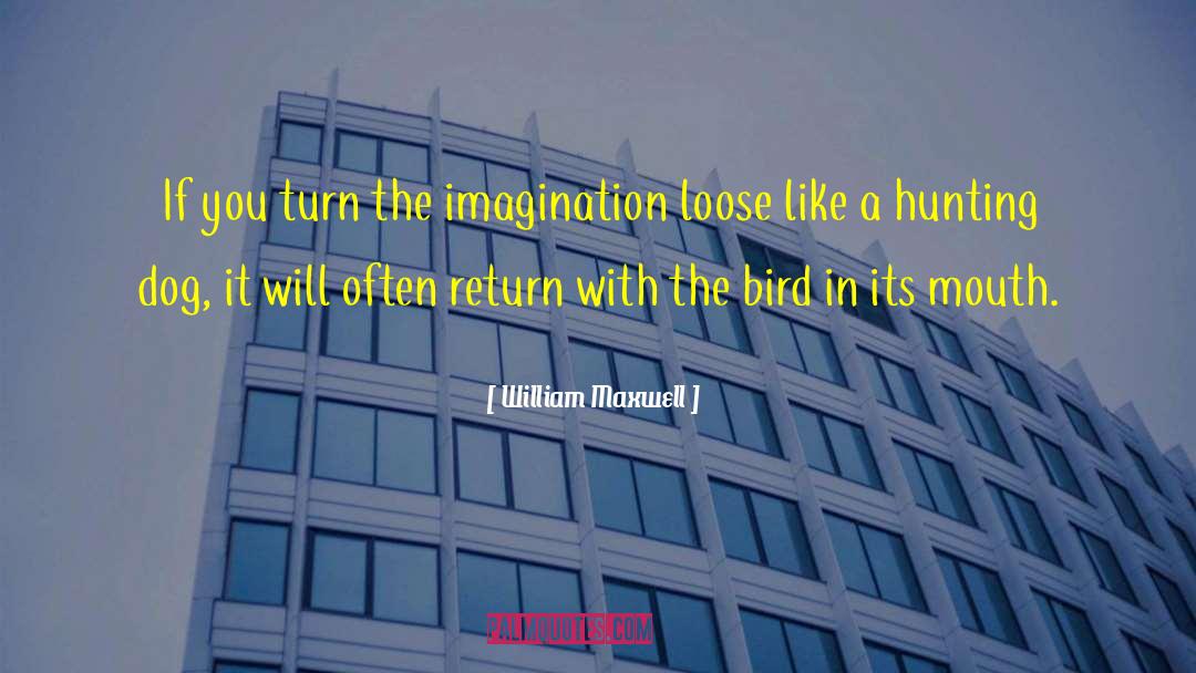 William Maxwell Quotes: If you turn the imagination