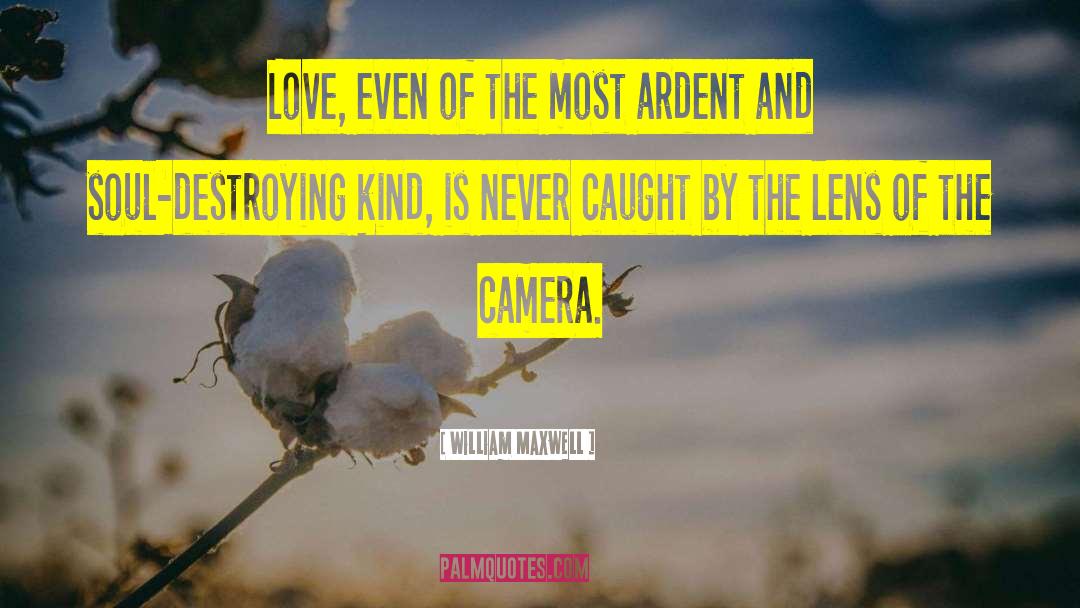 William Maxwell Quotes: Love, even of the most