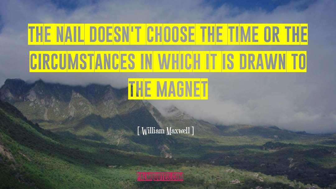 William Maxwell Quotes: The nail doesn't choose the