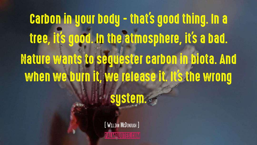 William McDonough Quotes: Carbon in your body -