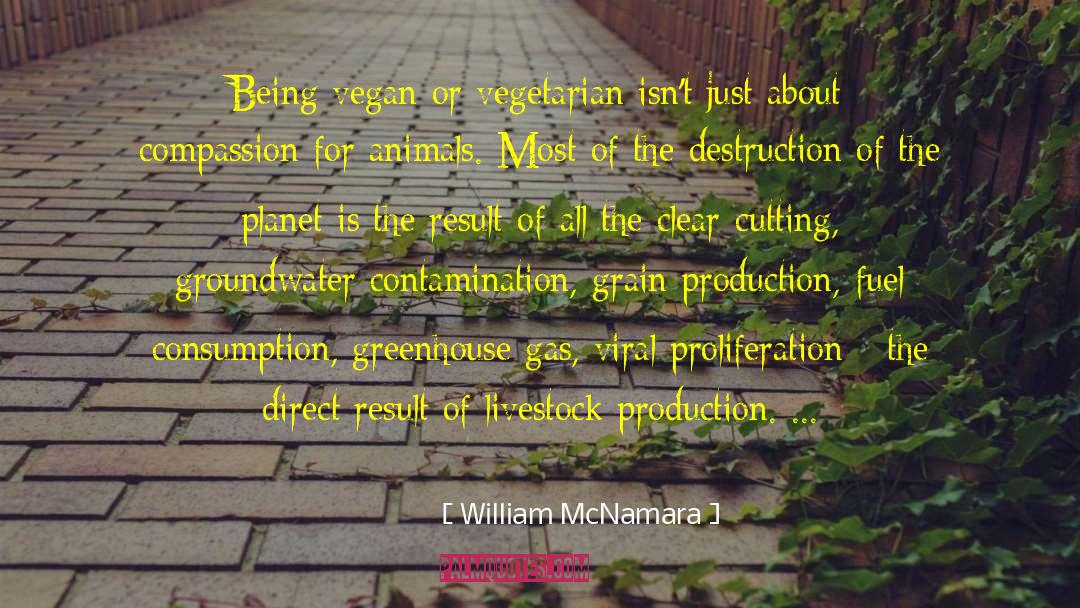 William McNamara Quotes: Being vegan or vegetarian isn't