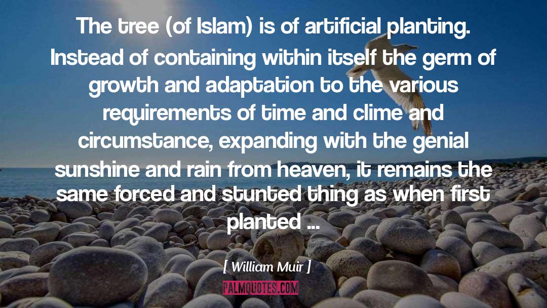 William Muir Quotes: The tree (of Islam) is