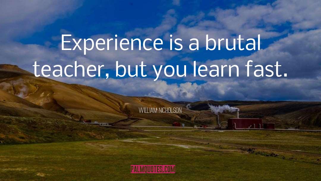 William Nicholson Quotes: Experience is a brutal teacher,