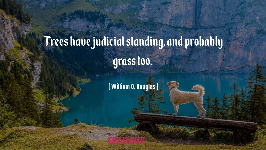William O. Douglas Quotes: Trees have judicial standing, and