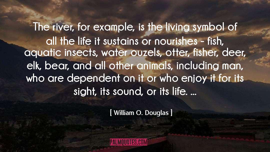 William O. Douglas Quotes: The river, for example, is