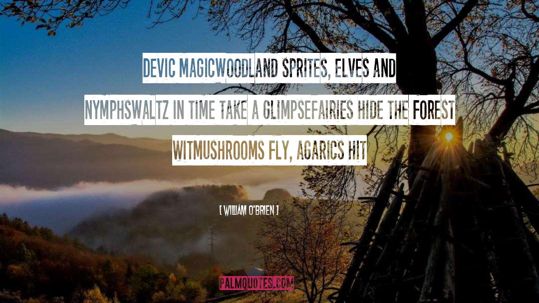 William O'Brien Quotes: Devic Magic<br>Woodland sprites, elves and