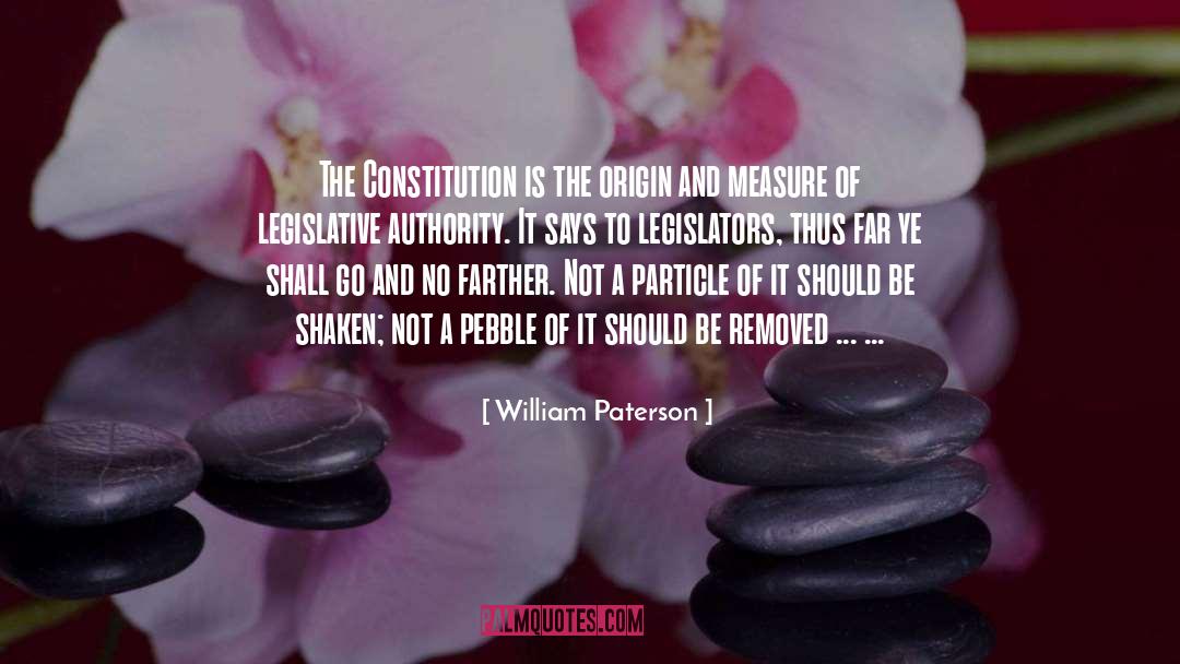 William Paterson Quotes: The Constitution is the origin