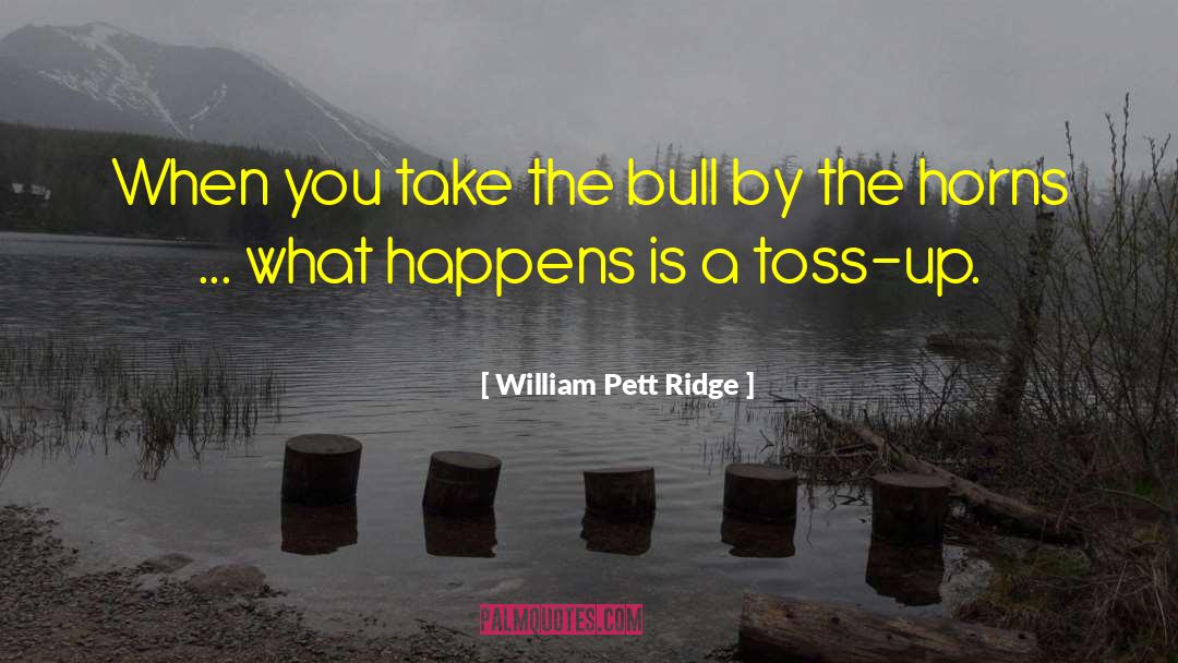 William Pett Ridge Quotes: When you take the bull