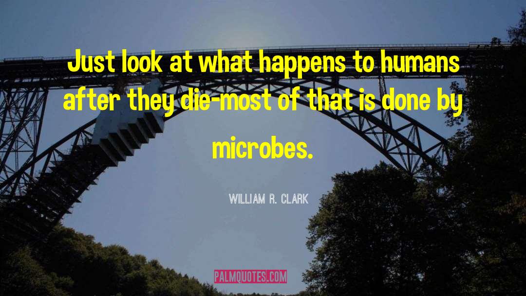 William R. Clark Quotes: Just look at what happens