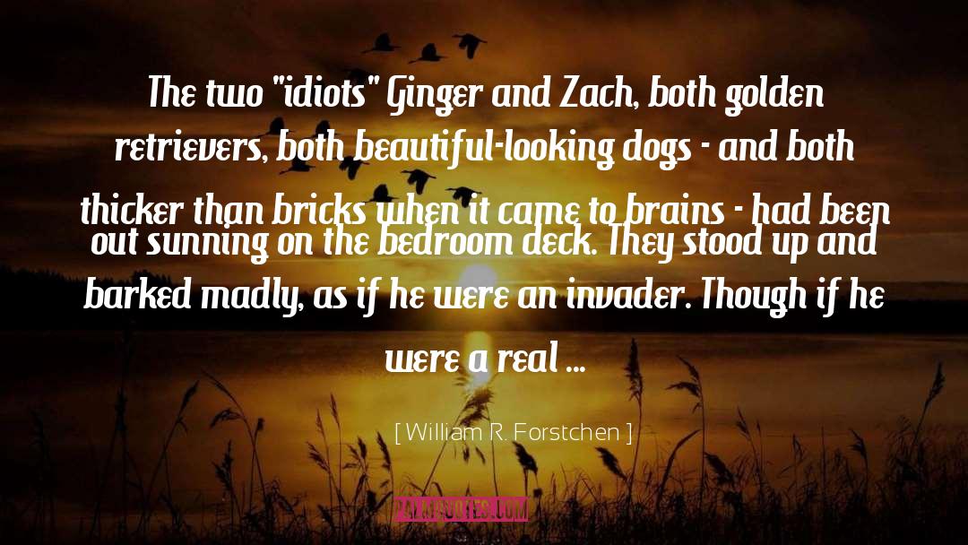 William R. Forstchen Quotes: The two 