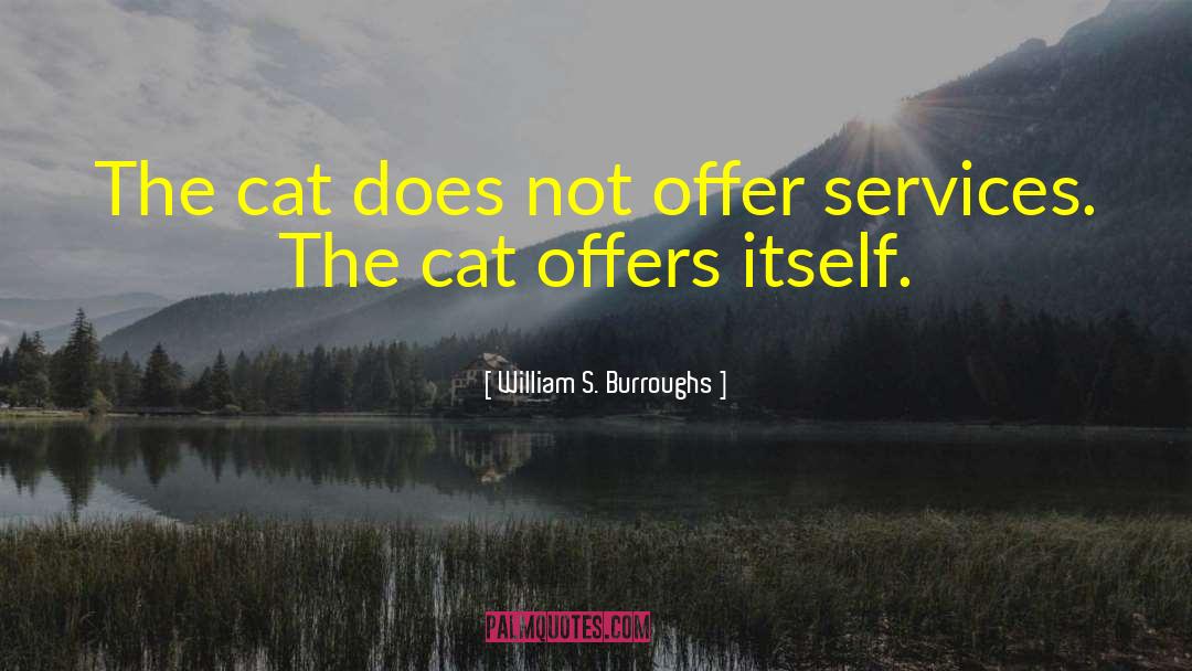William S. Burroughs Quotes: The cat does not offer