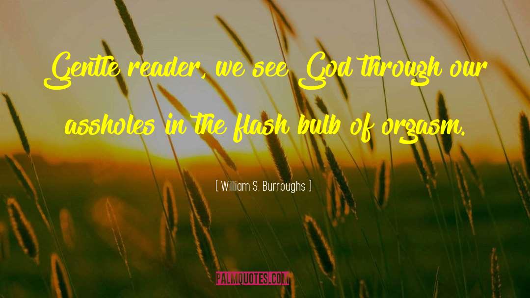 William S. Burroughs Quotes: Gentle reader, we see God