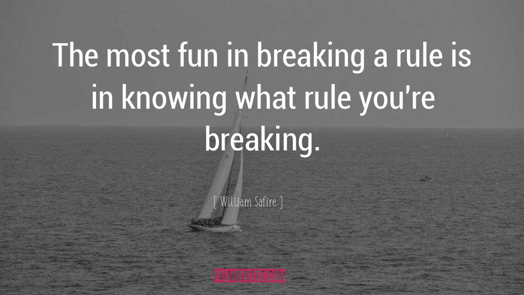 William Safire Quotes: The most fun in breaking