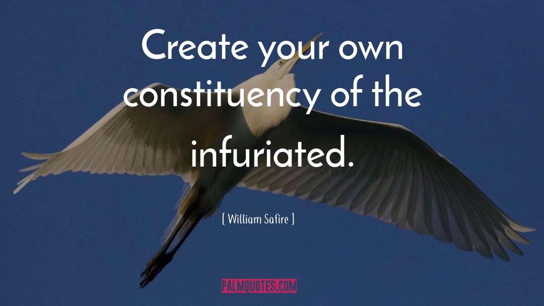 William Safire Quotes: Create your own constituency of