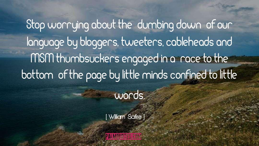 William Safire Quotes: Stop worrying about the 'dumbing