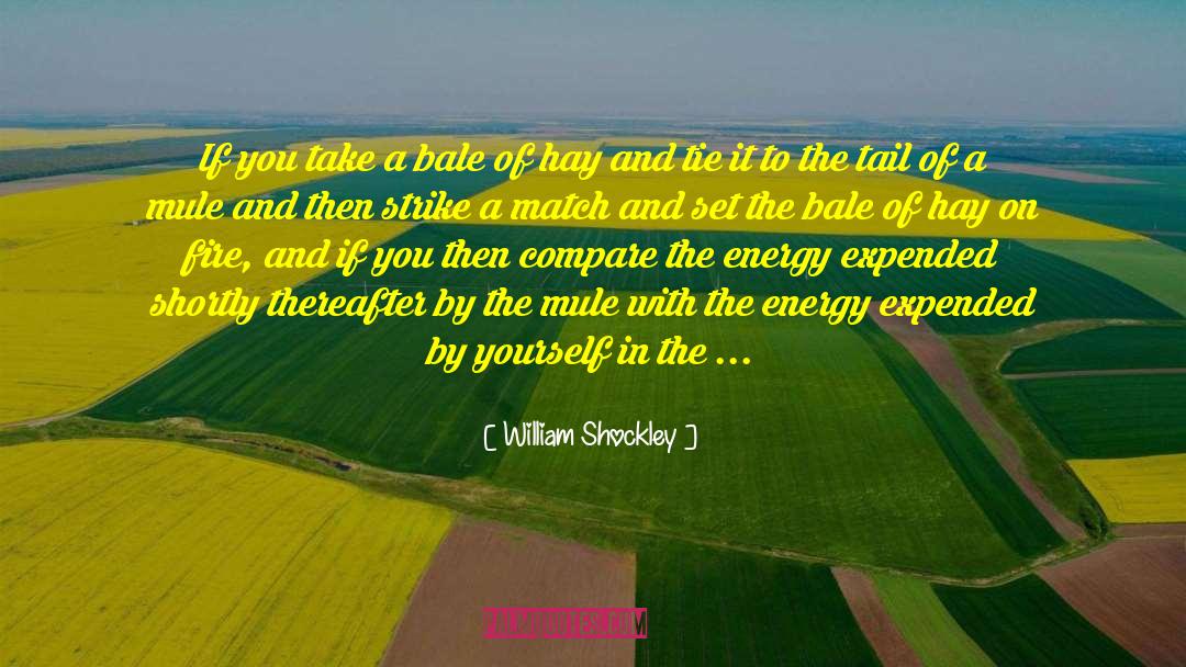 William Shockley Quotes: If you take a bale