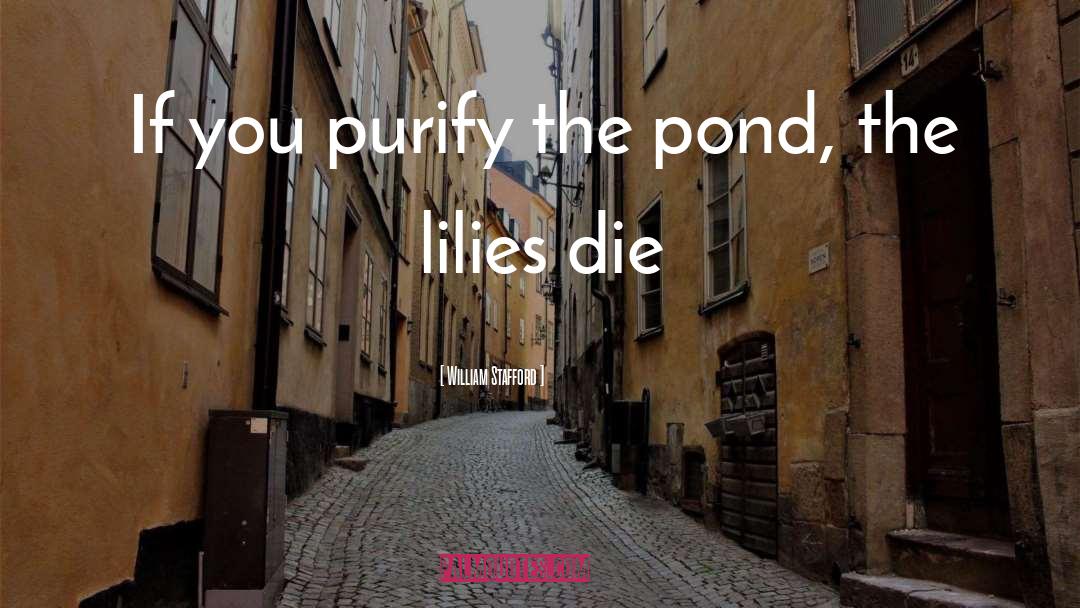 William Stafford Quotes: If you purify the pond,