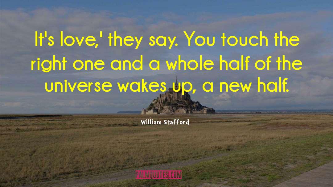 William Stafford Quotes: It's love,' they say. You