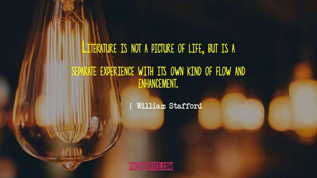 William Stafford Quotes: Literature is not a picture