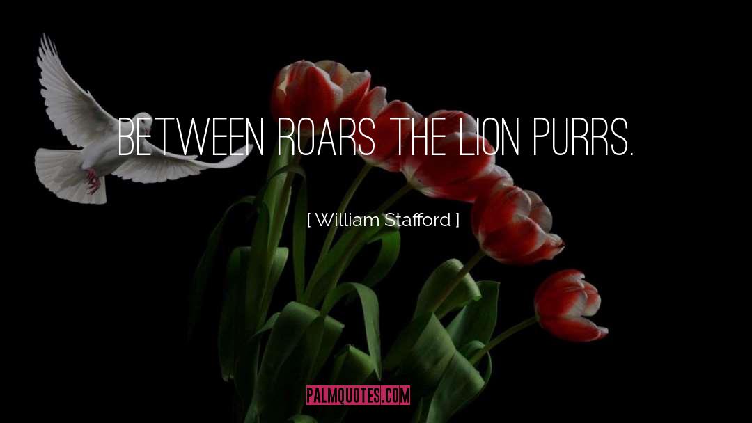 William Stafford Quotes: Between roars the lion purrs.