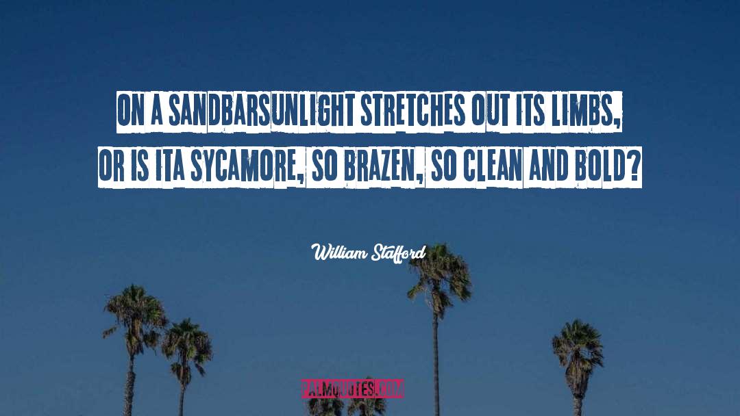 William Stafford Quotes: On a sandbar<br>sunlight stretches out