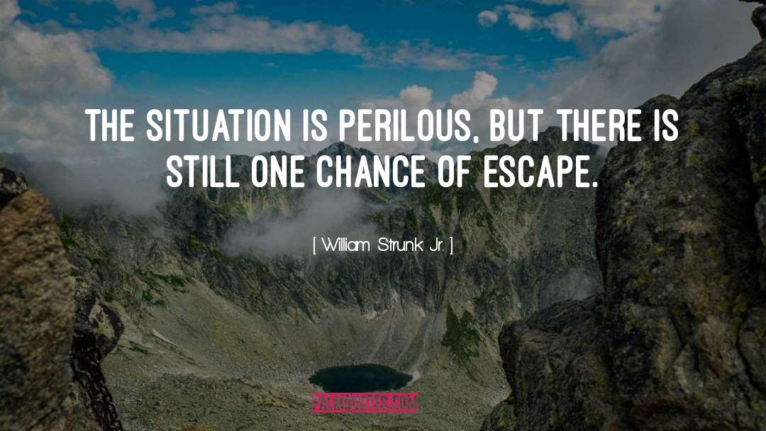William Strunk Jr. Quotes: The situation is perilous, but