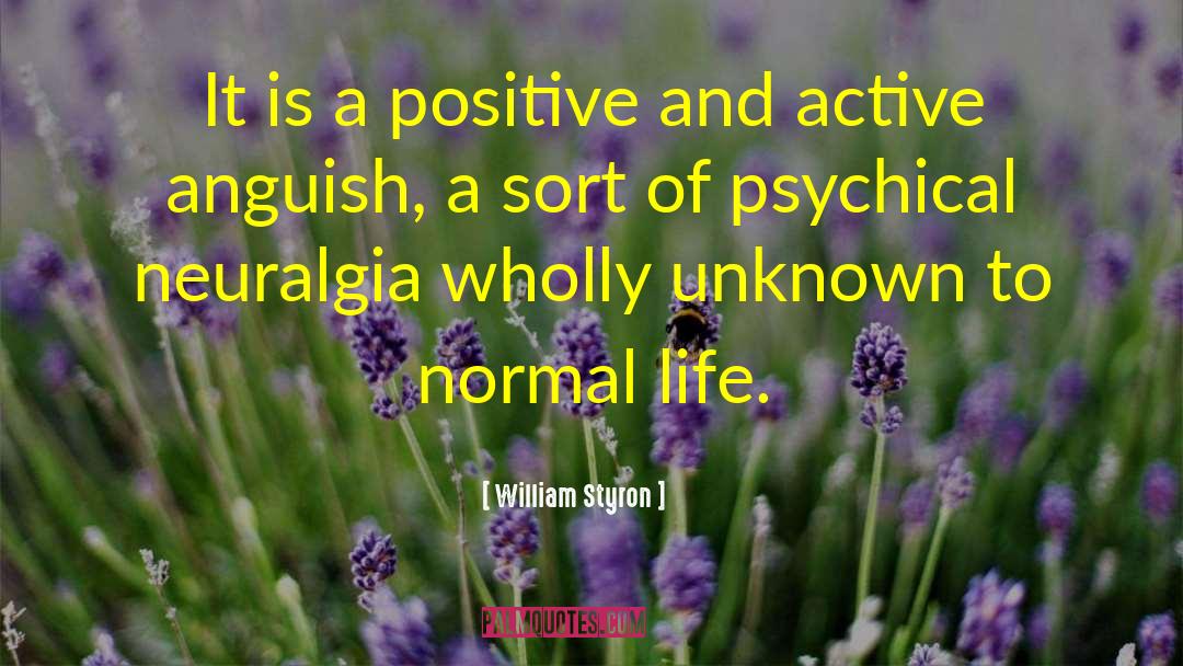 William Styron Quotes: It is a positive and