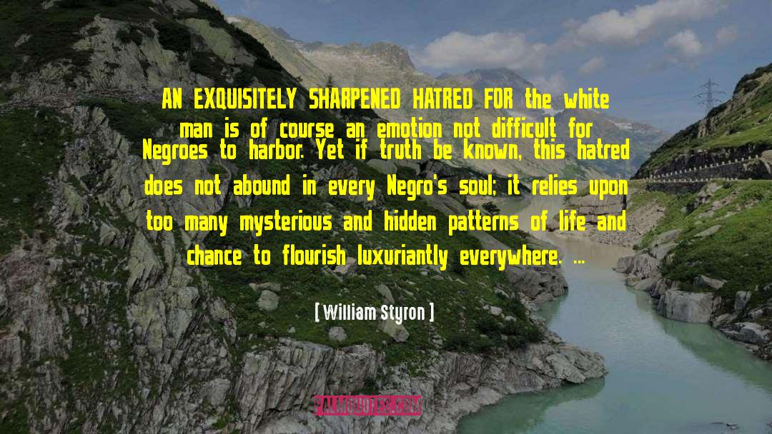 William Styron Quotes: AN EXQUISITELY SHARPENED HATRED FOR