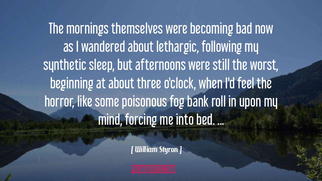 William Styron Quotes: The mornings themselves were becoming