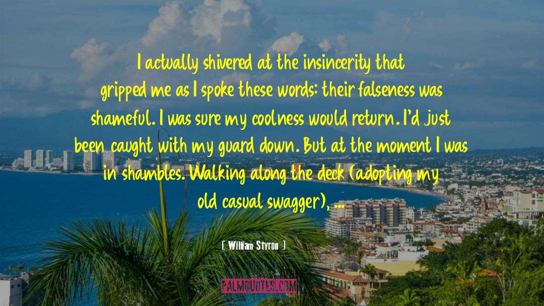 William Styron Quotes: I actually shivered at the
