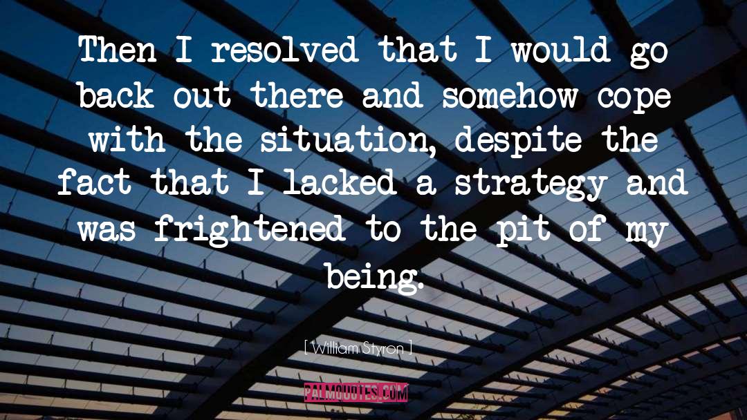 William Styron Quotes: Then I resolved that I