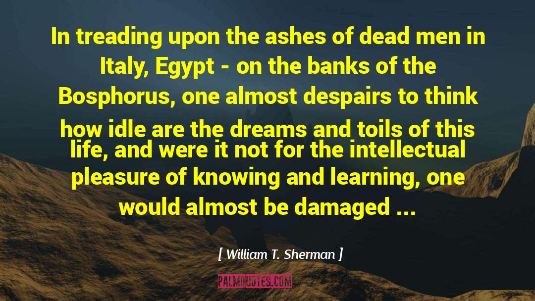William T. Sherman Quotes: In treading upon the ashes