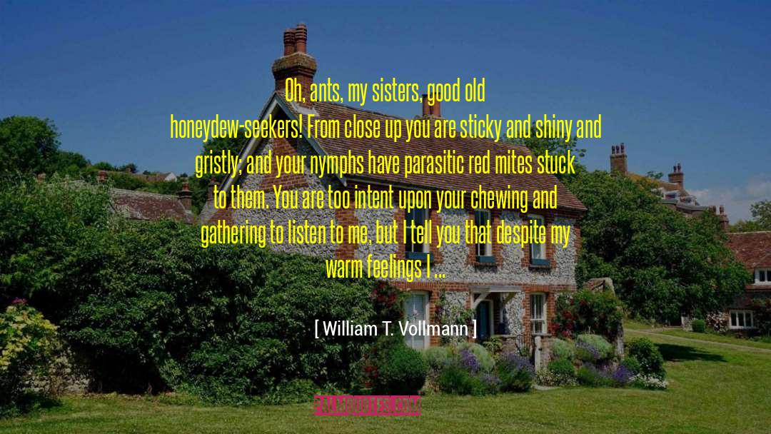 William T. Vollmann Quotes: Oh, ants, my sisters, good