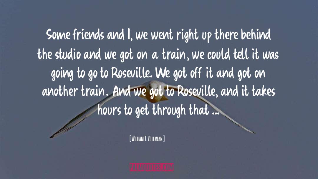 William T. Vollmann Quotes: Some friends and I, we