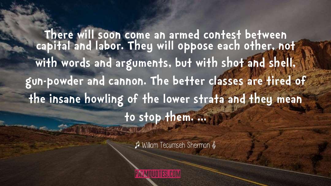 William Tecumseh Sherman Quotes: There will soon come an