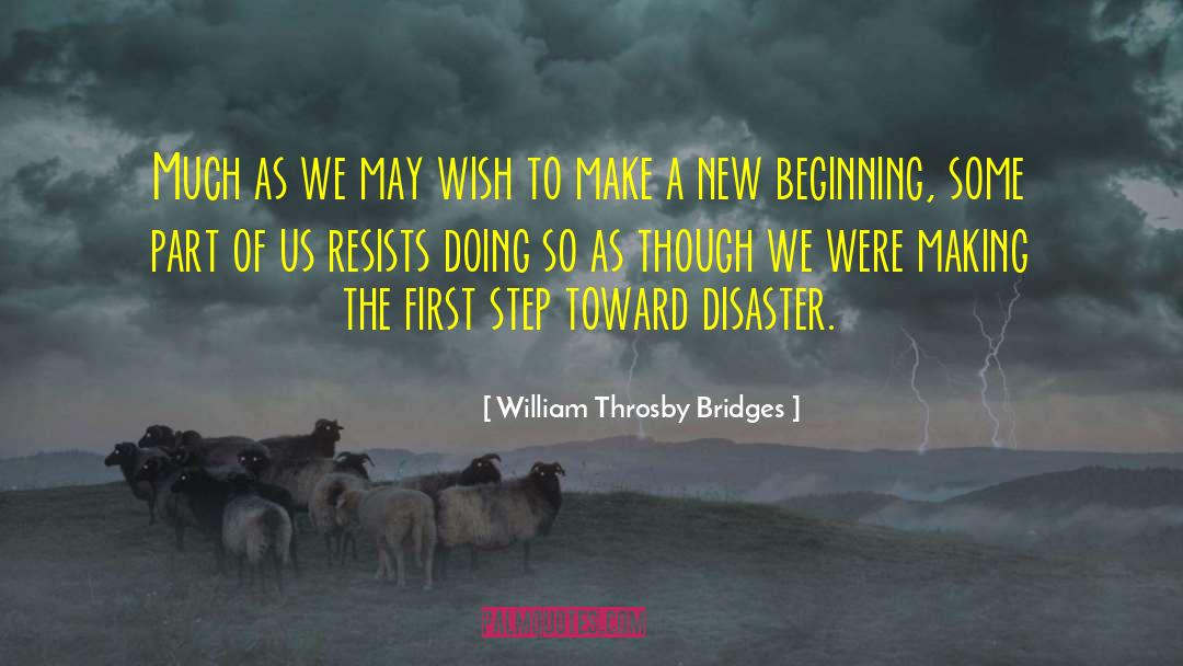 William Throsby Bridges Quotes: Much as we may wish