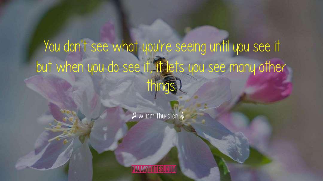 William Thurston Quotes: You don't see what you're