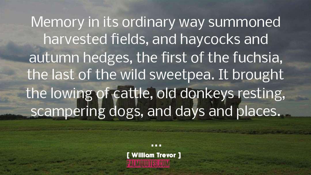 William Trevor Quotes: Memory in its ordinary way