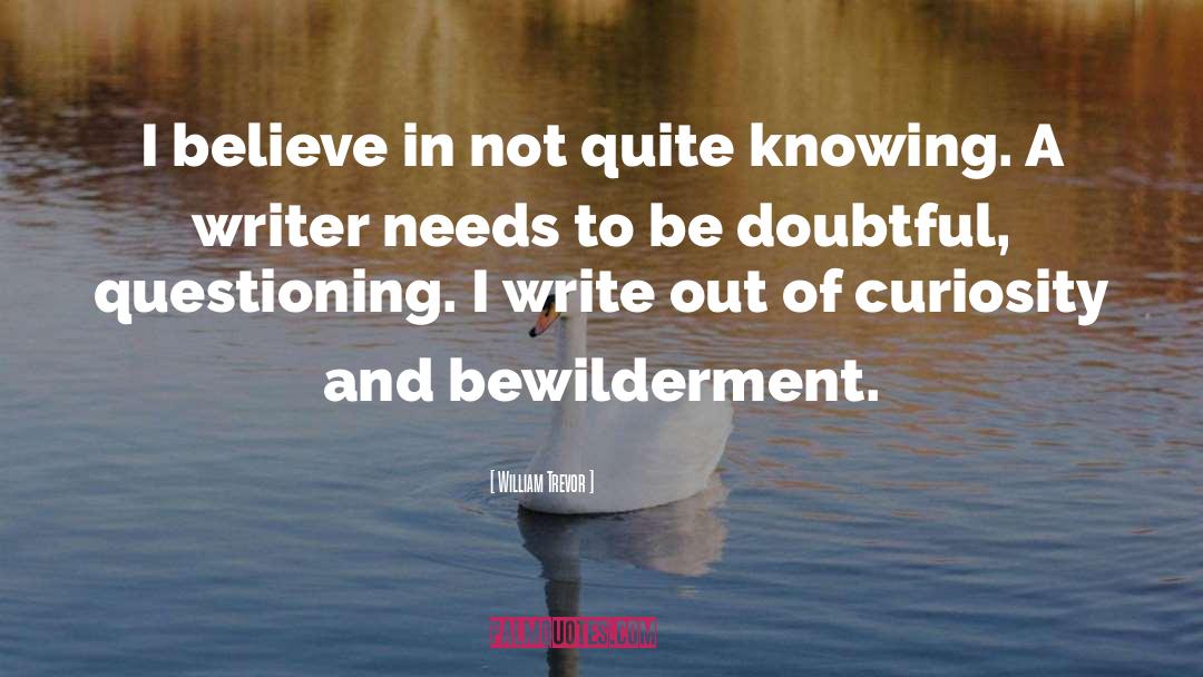 William Trevor Quotes: I believe in not quite