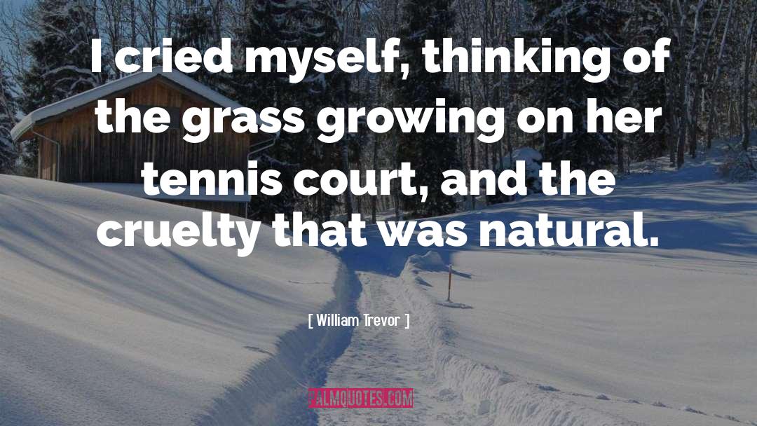 William Trevor Quotes: I cried myself, thinking of