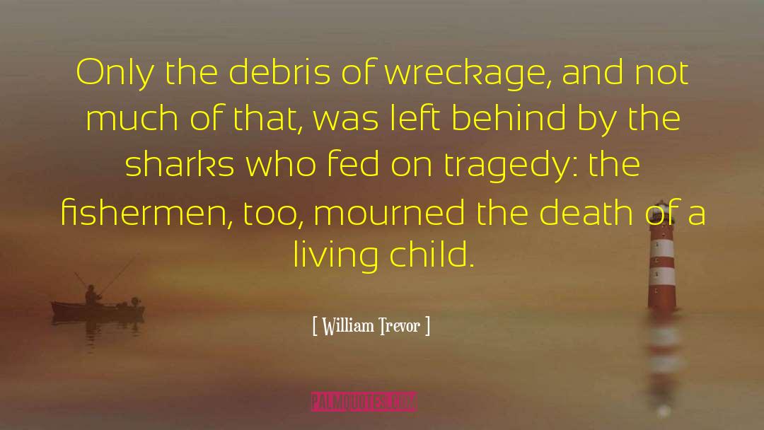 William Trevor Quotes: Only the debris of wreckage,